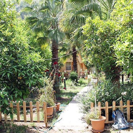 Oran Pansiyon Agac Evler Hotel Cirali Exterior photo