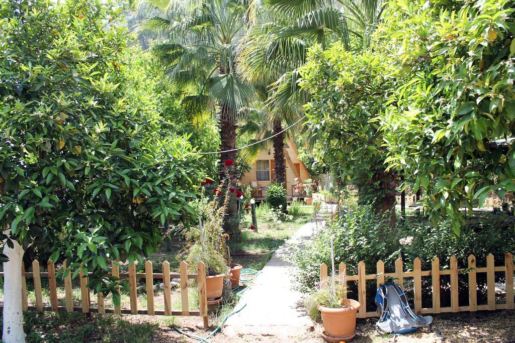 Oran Pansiyon Agac Evler Hotel Cirali Exterior photo
